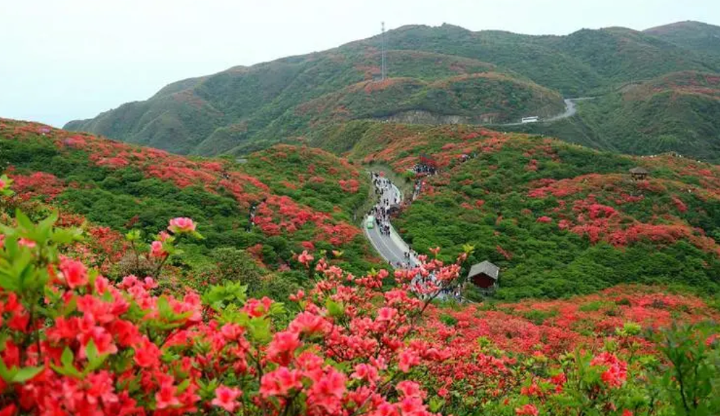 瀏陽白沙古鎮(zhèn)值得去嗎_瀏陽白沙鎮(zhèn)有什么好玩的地方_瀏陽白沙古鎮(zhèn)旅游攻略