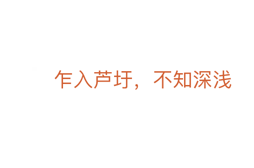乍入蘆圩，不知深淺