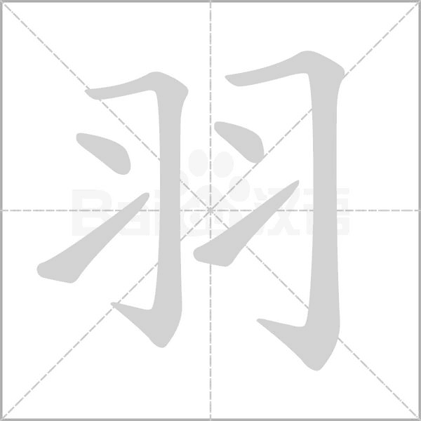 羽的筆順動(dòng)畫演示