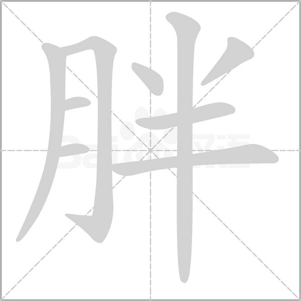 胖的筆順動(dòng)畫(huà)演示