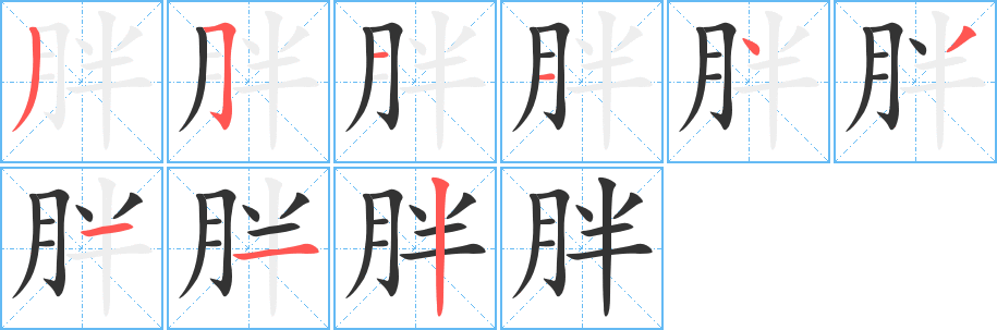 胖的筆順?lè)植窖菔?>
					
                    <hr />
                    <h2>胖的基本信息</h2>
                    <div   id=
