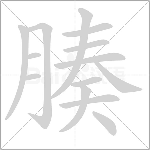 腠的筆順動(dòng)畫(huà)演示