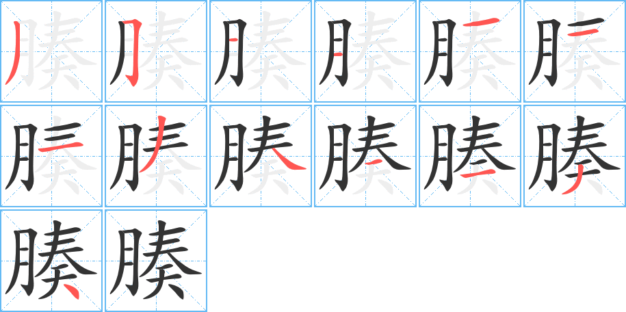 腠的筆順?lè)植窖菔?>
					
                    <hr />
                    <h2>腠的基本信息</h2>
                    <div   id=