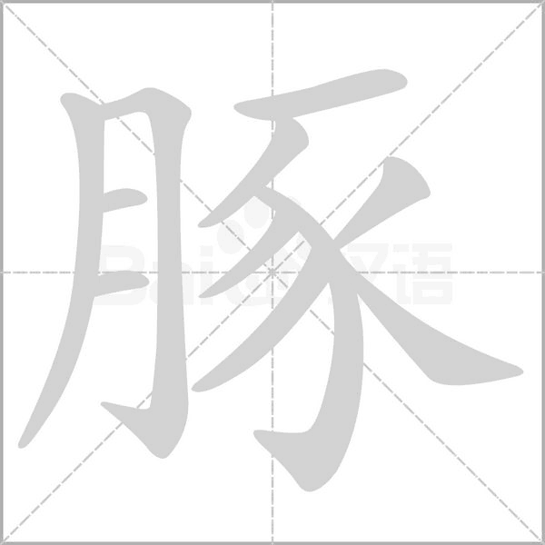 豚的筆順動畫演示